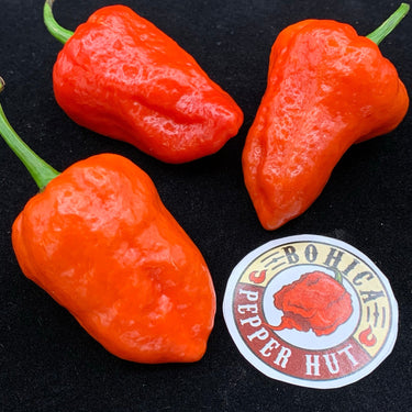 Armageddon Chilli Pepper - Seeds - The Pepper Pantry (Formerly Marie Sharp's)